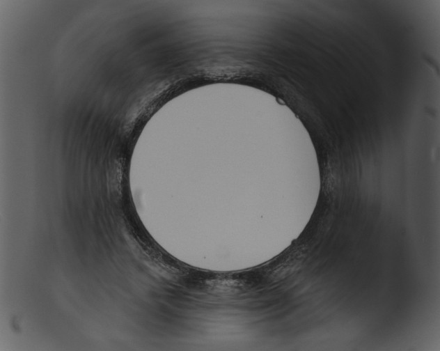 X0000103260448200809261143