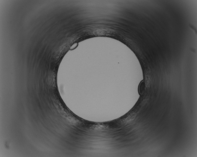 X0000103260453200809261143