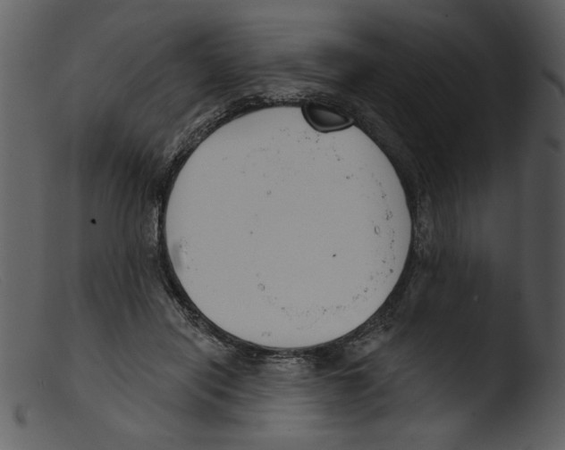 X0000103260454200809261143