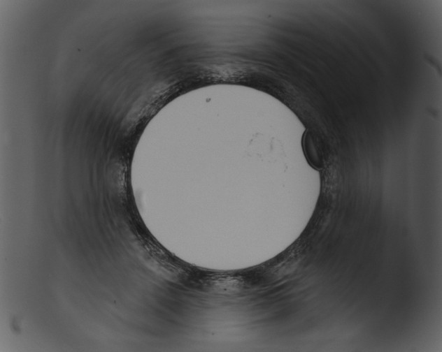 X0000103260456200809261143