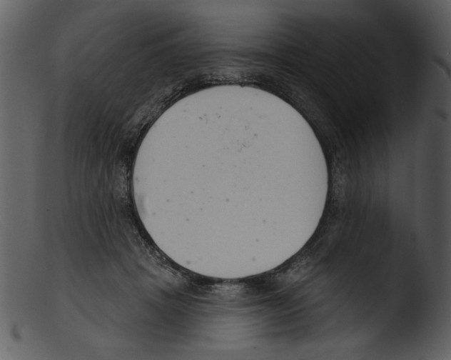 X0000103260457200809261143