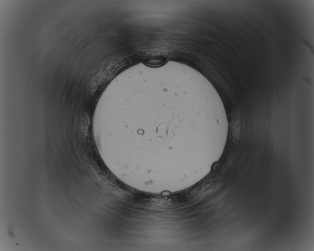 X0000103260458200809261143