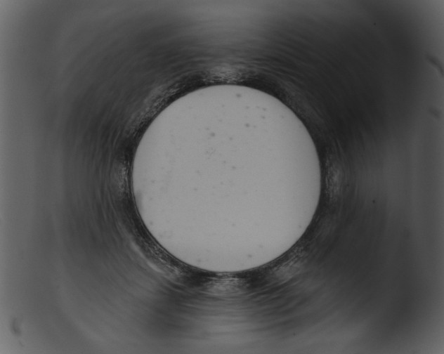 X0000103260459200809261143