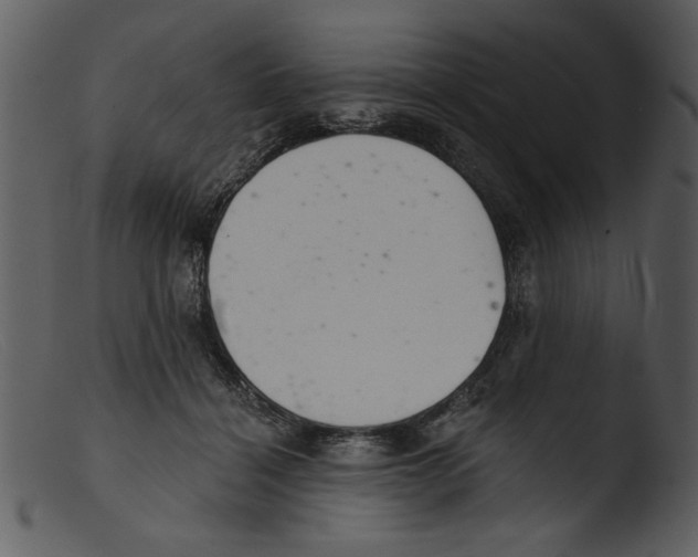 X0000103260460200809261143