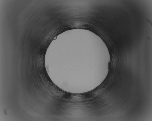 X0000103260461200809261143