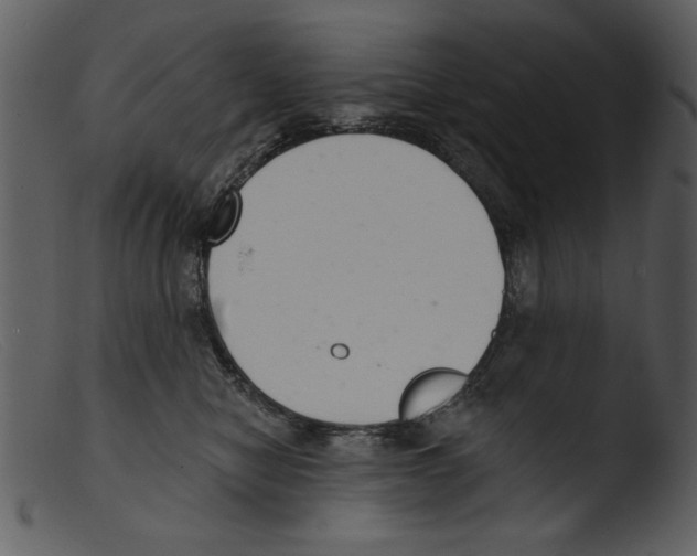 X0000103260470200809261143