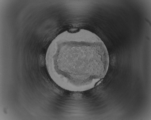 X0000103260471200809261143