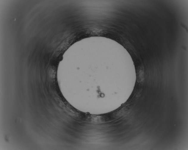 X0000103260472200809261143