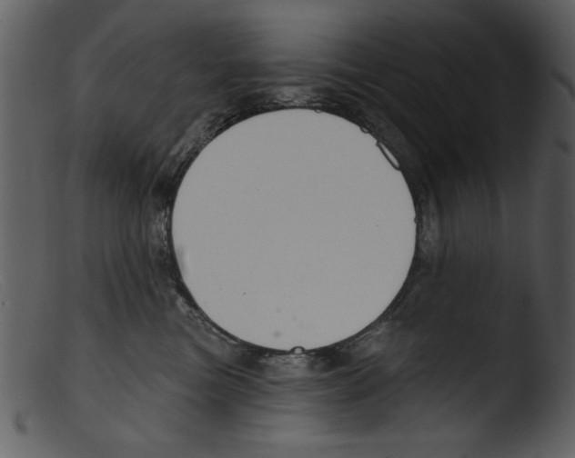 X0000103260473200809261143