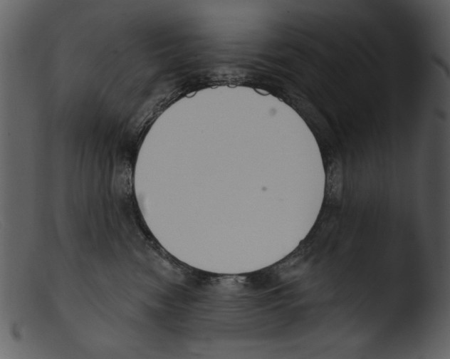 X0000103260474200809261143