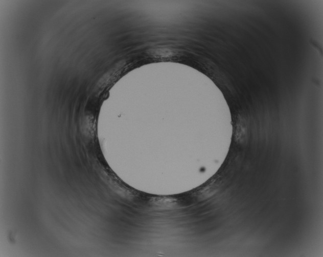 X0000103260476200809261143