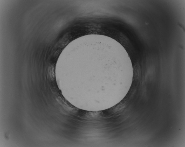 X0000103260479200809261143