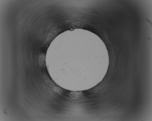 X0000103260480200809261143