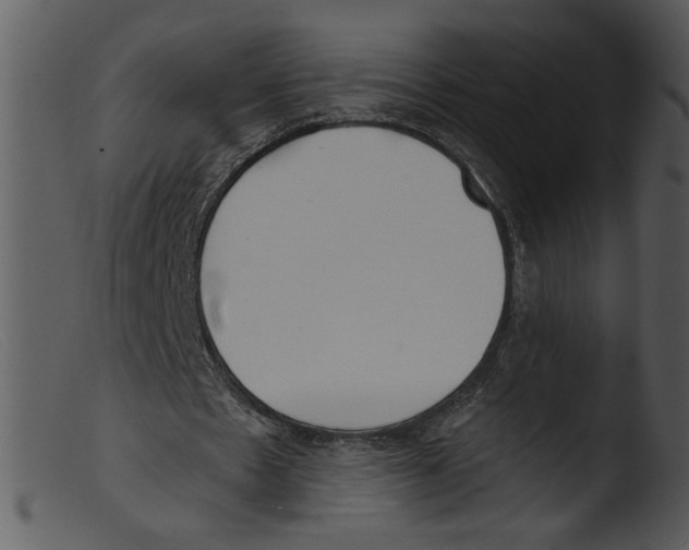 X0000103260481200809261142