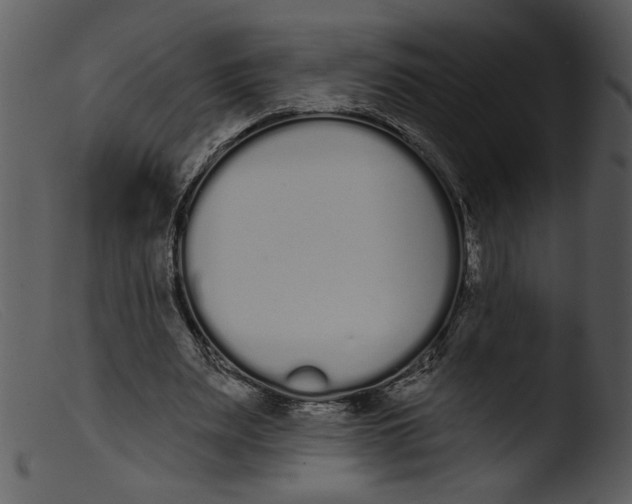 X0000103260487200809261142