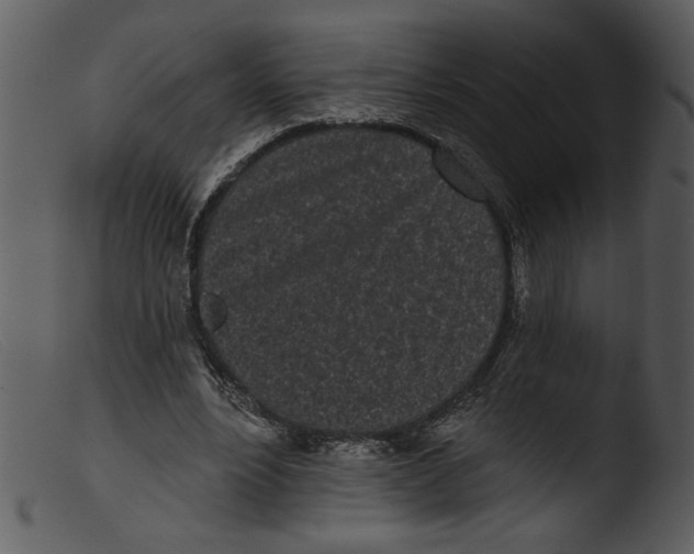 X0000103260488200809261142