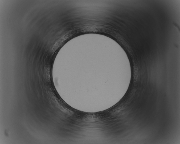 X0000103260489200809261142