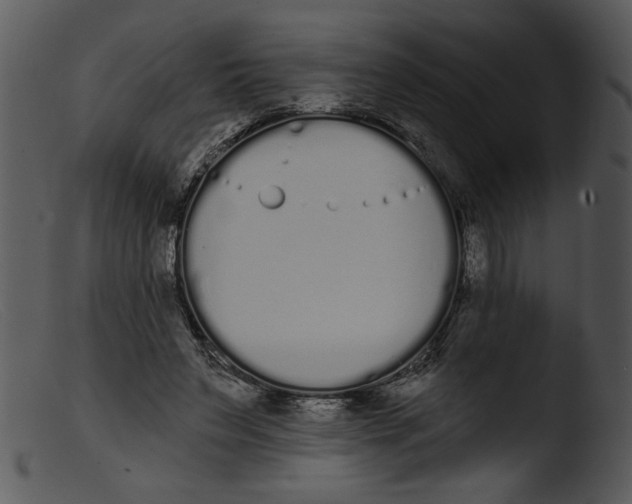 X0000103260495200809261142