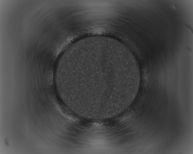 X0000103260496200809261142