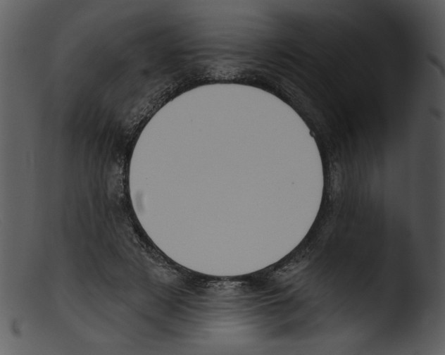 X0000103260497200809261142