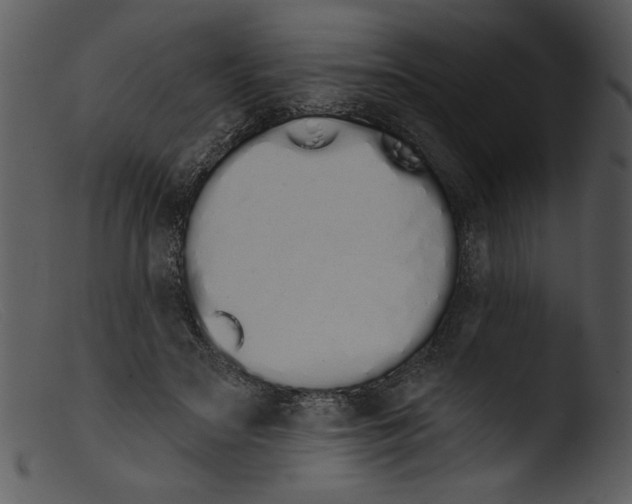 X0000103260499200809261142