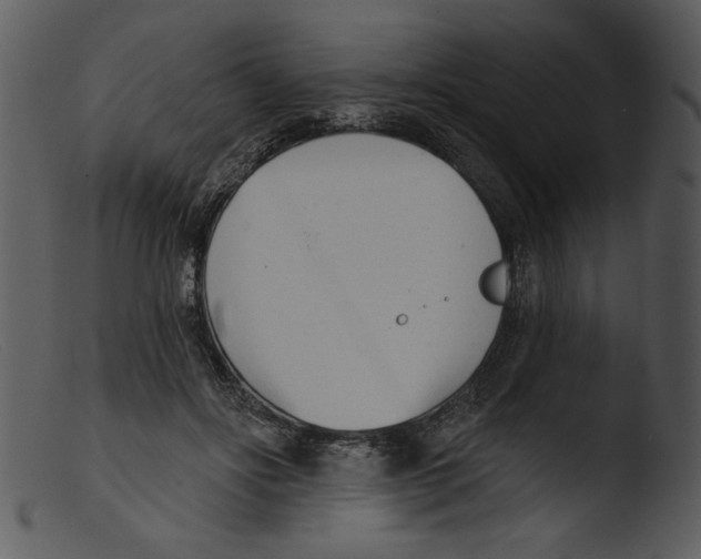 X0000103260502200809261142