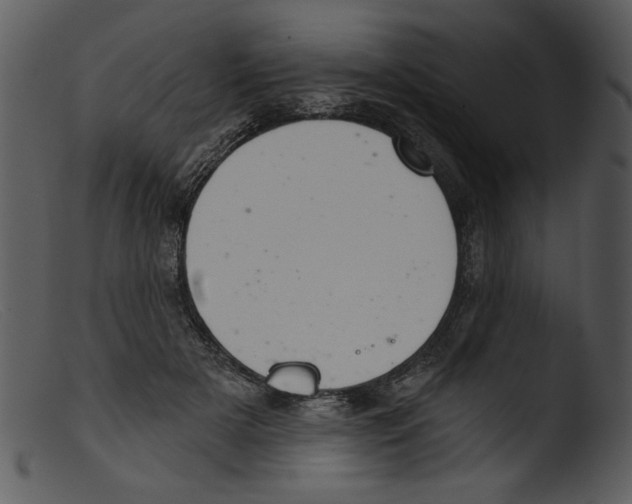 X0000103260505200809261142