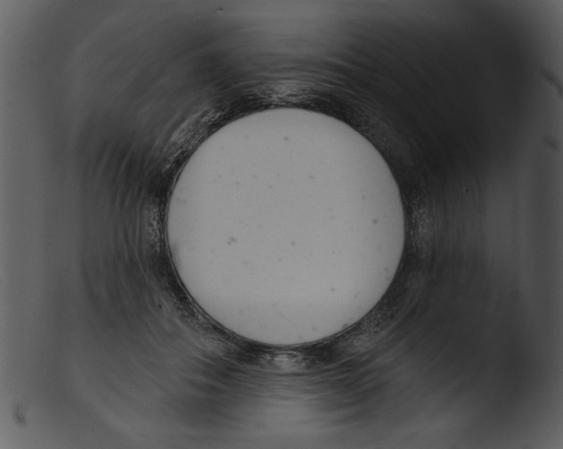 X0000103260506200809261142