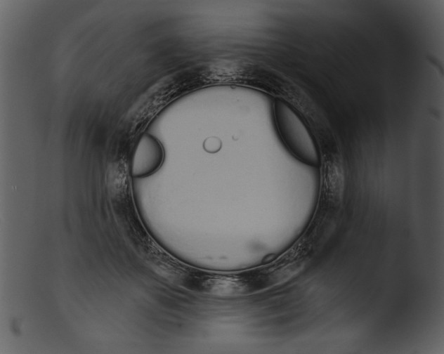 X0000103260507200809261142