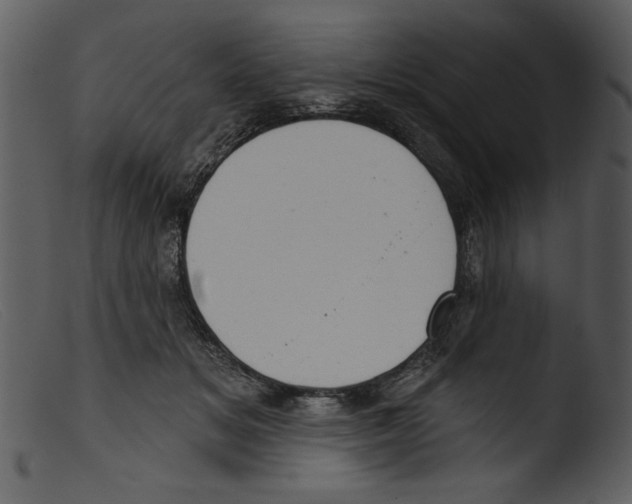 X0000103260509200809261142