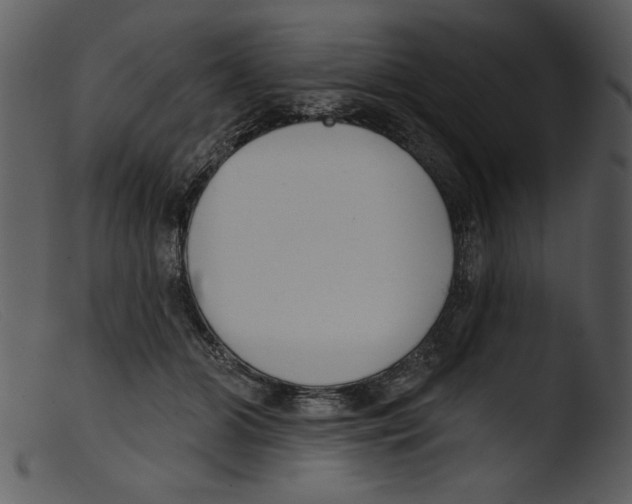 X0000103260510200809261142