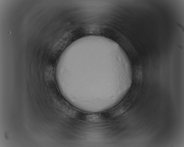 X0000103260511200809261142