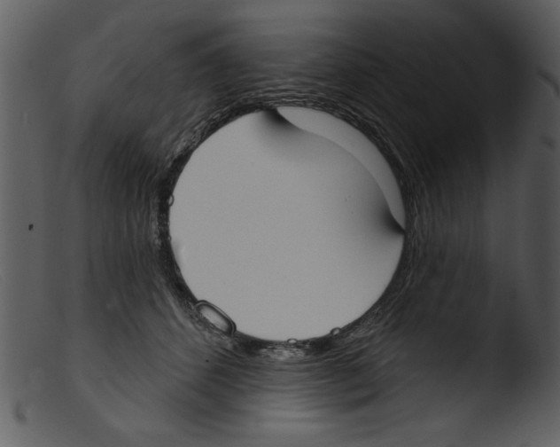 X0000103260512200809261142