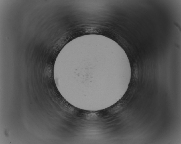 X0000103260513200809261142