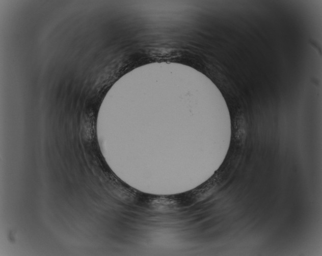 X0000103260515200809261142