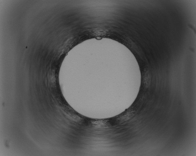 X0000103260516200809261142