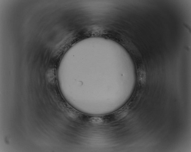 X0000103260519200809261142