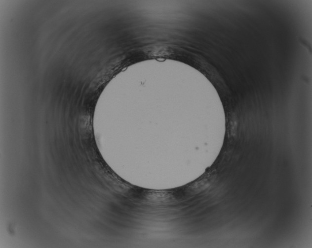 X0000103260521200809261142