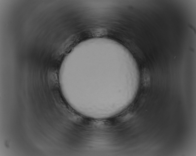 X0000103260523200809261142