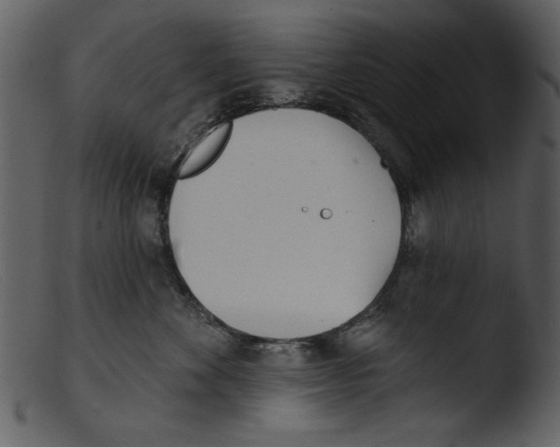 X0000103260524200809261142