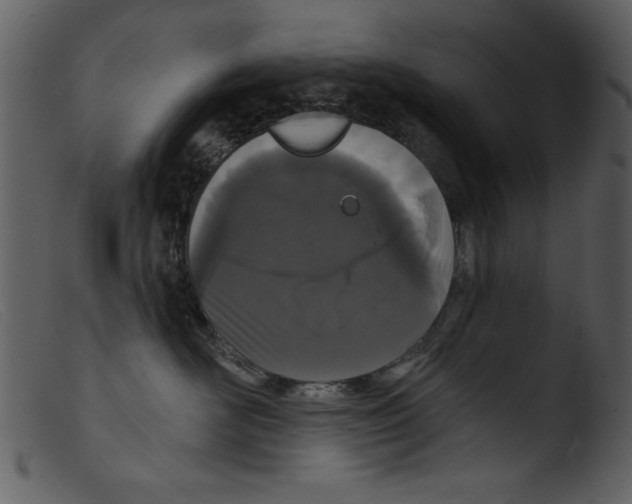 X0000103260526200809261142