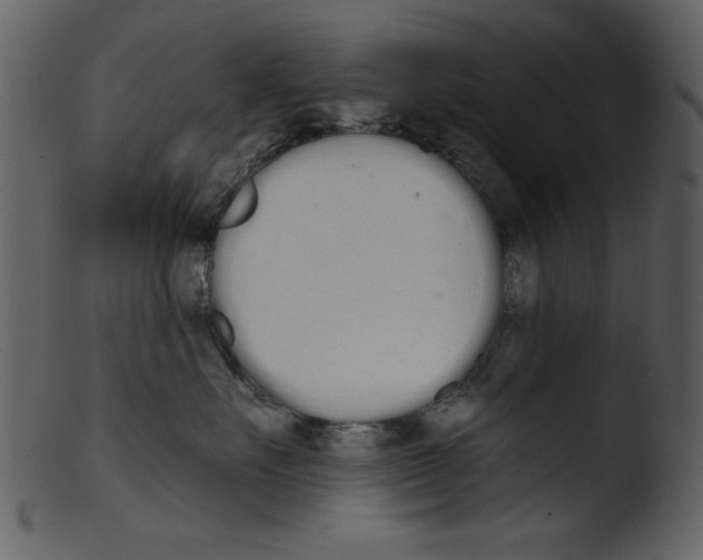 X0000103260527200809261142