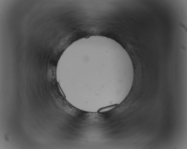 X0000103260528200809261142