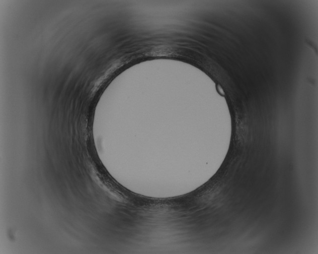 X0000103260530200809261141