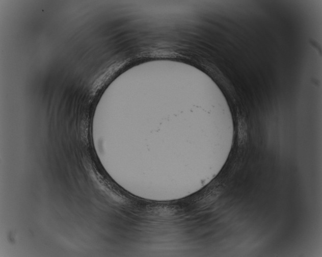 X0000103260533200809261141