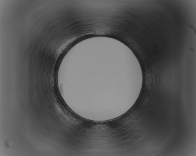 X0000103260536200809261141