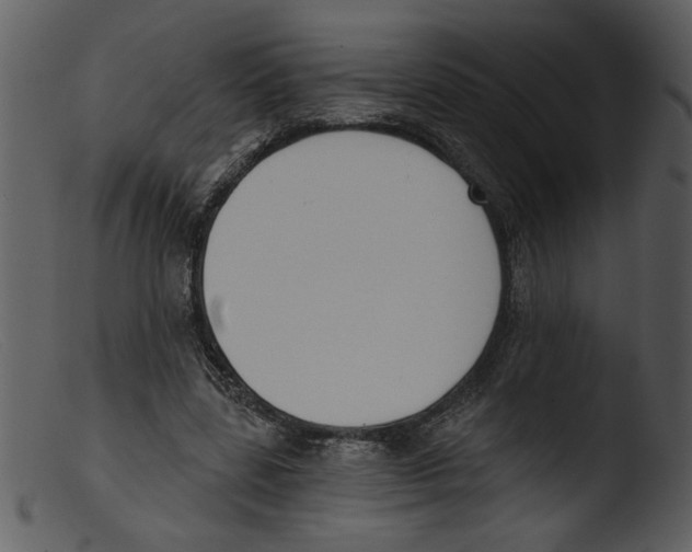 X0000103260539200809261141