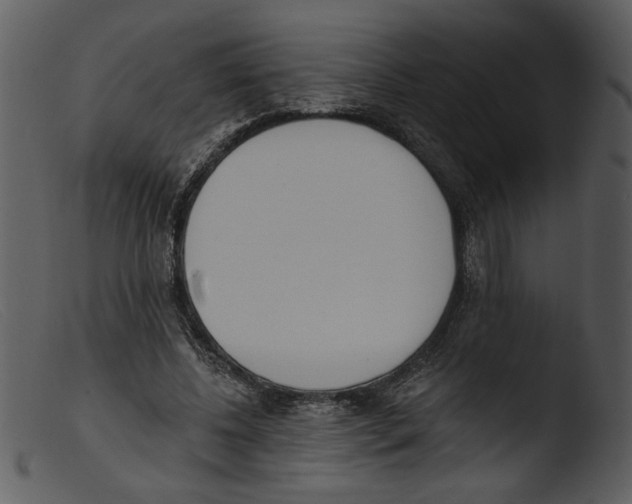 X0000103260540200809261141