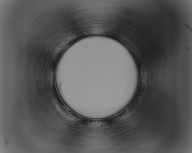 X0000103260542200809261141