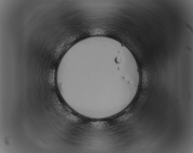 X0000103260545200809261141